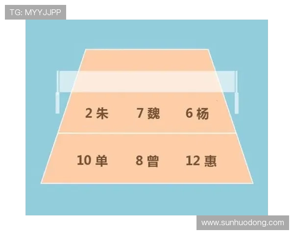 武汉排球队战术解析与对比研究揭示球队优势与不足